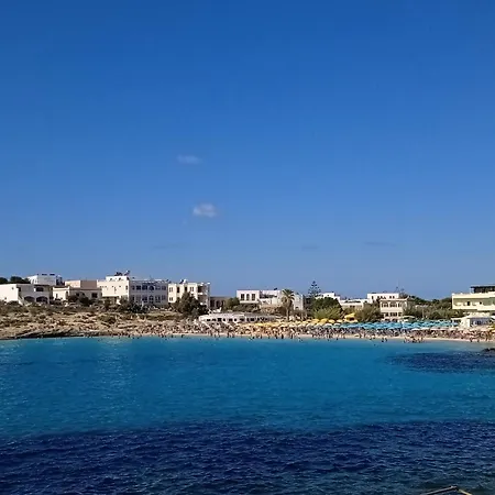 Rosa Del Sud *